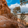 Elders Riverland: Local Knowledge, Real Connections